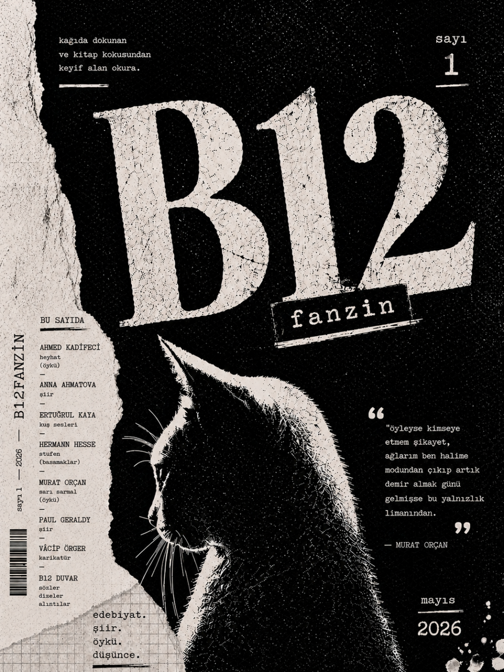 B12 kapak