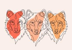 abstract line art illustration drawing